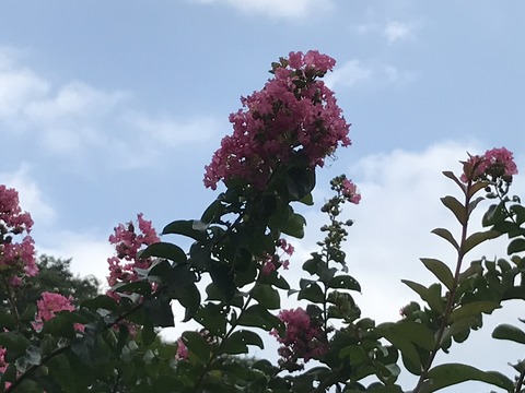 F6B51915-F59D-4032-A26C-0AA00AEEBA23