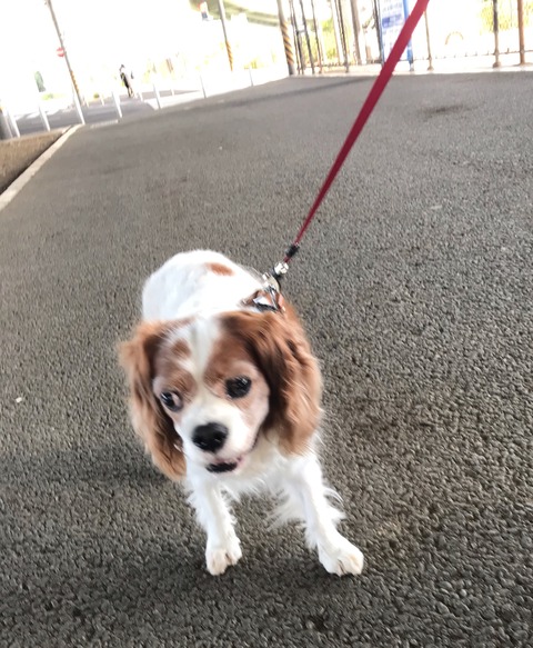 F64D7383-7D37-4B26-A3D5-9FAB5748C8E0