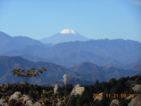 画像101 235