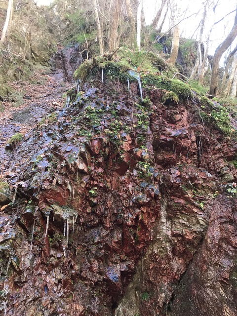 A4B07C15-C693-4C8B-8D80-68EAC7BA3C7A