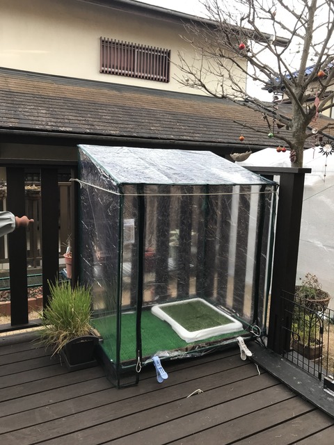 515B59D6-EFA2-447C-8E44-6BDE86758D80