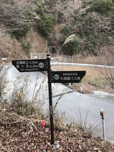 E375F5B8-36B1-4F80-91C8-61F5B8B71A49