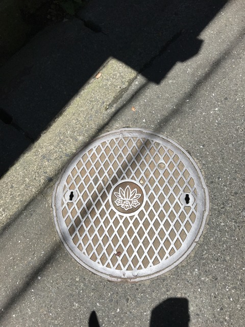 A7EEFAF9-00E2-46CD-82A4-65BE4643000B