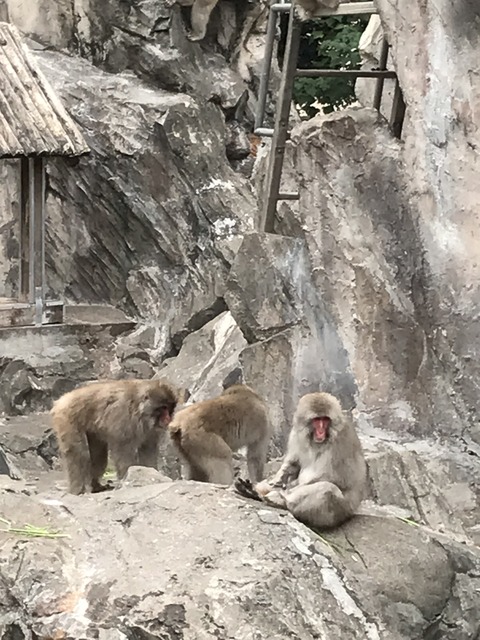 5D2CE100-40EA-42CD-BB86-C5904ABF0DBD