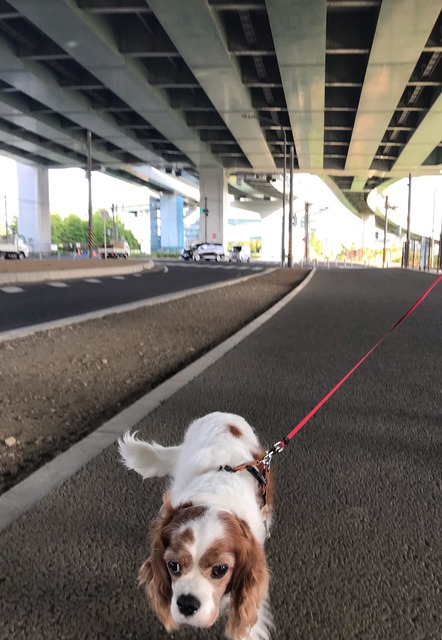 03923178-4A9E-4B7E-A480-9F3842B118BD