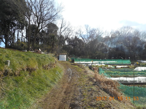 15早野から寺家 048