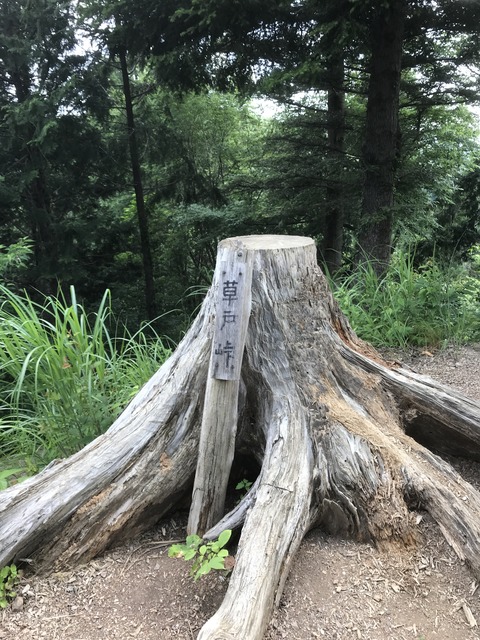 8BDE0F28-2E75-4F55-BCFE-46F96865529C