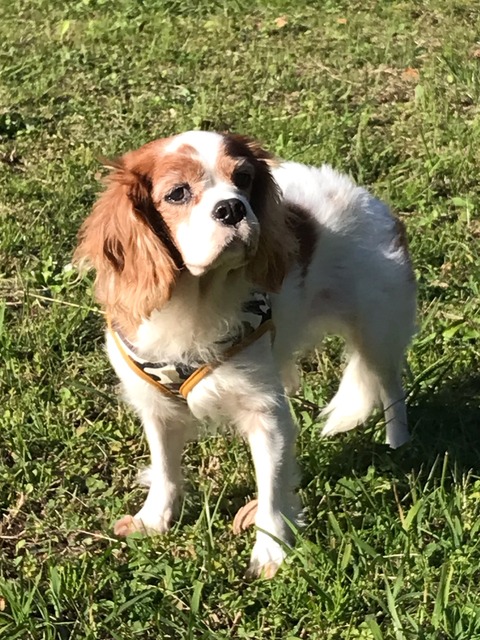 BF8B9968-E134-412A-864D-08A5AA393364