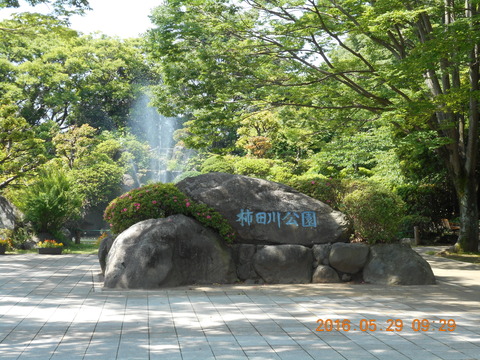 DSCN1207