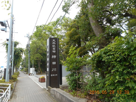 DSCN1273