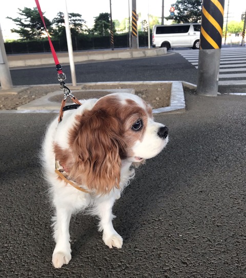 79404F94-E31B-4367-88E2-C4BB304DED38