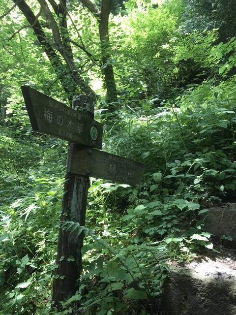 D2B7CC94-430E-4CC6-8DDB-2C018B8DC31C