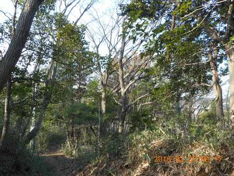DSCN0764