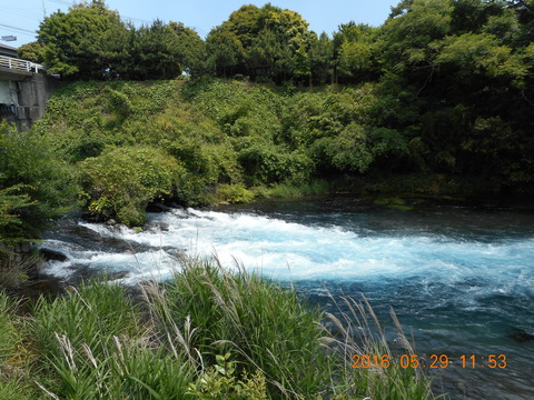 DSCN1261