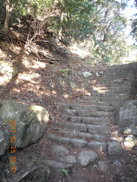 21大山から鶴巻 157