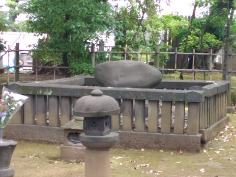 IMG_20160605_131349