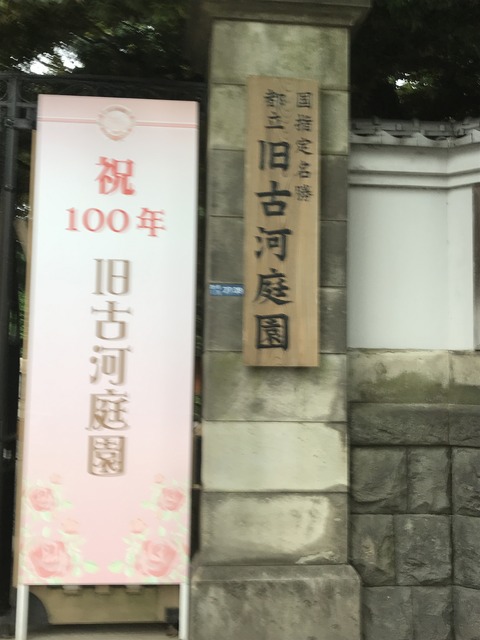 EE8C1639-64BE-4301-899C-3ADF01665124