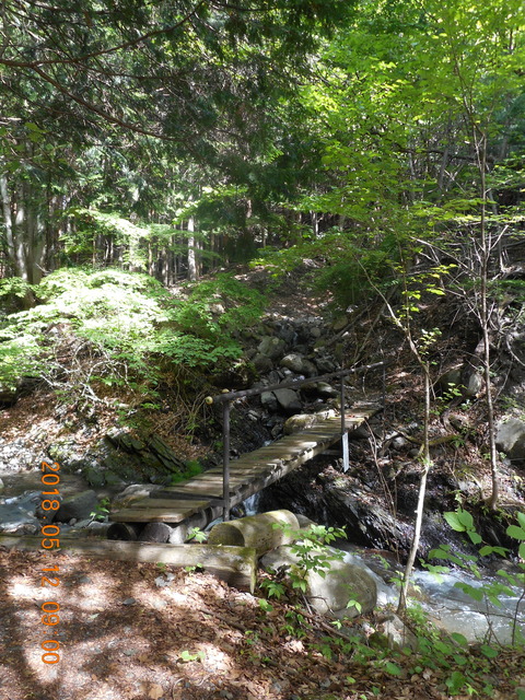 DSCN2858