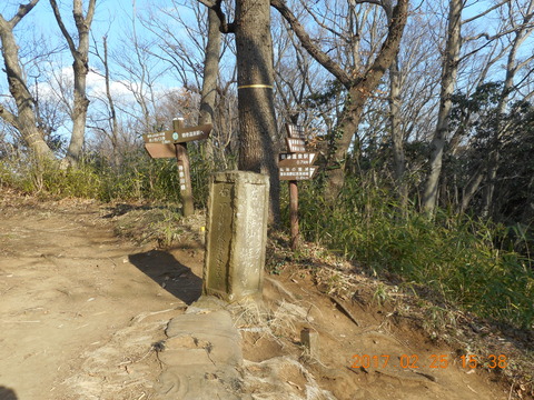 21大山から鶴巻 222