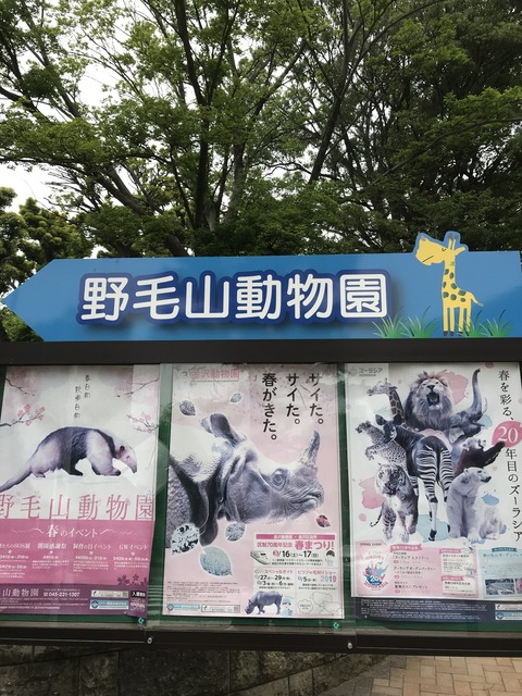 B98690AF-EC39-442E-B880-1C0B22031959