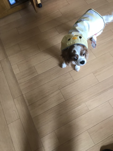 C7E82509-4695-442E-957B-1A7726ED7C0D