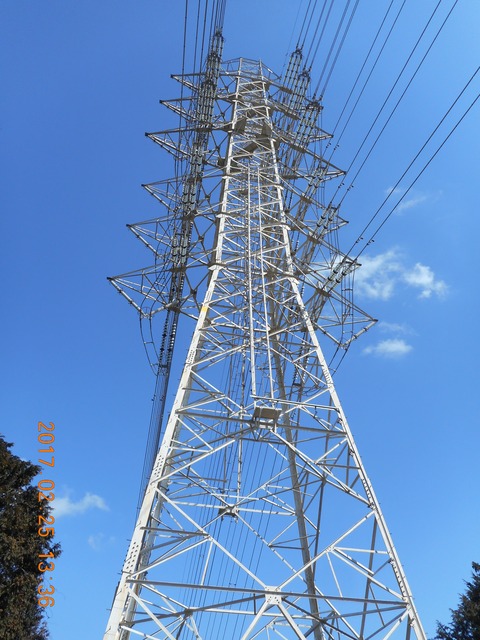 21大山から鶴巻 203