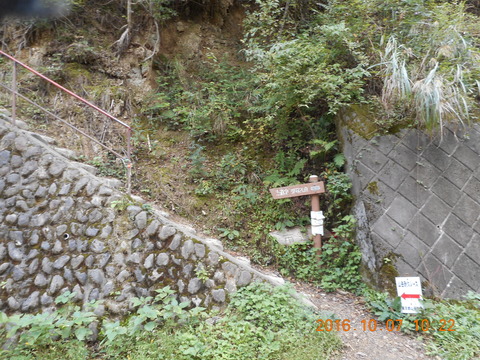画像101奥高尾 032