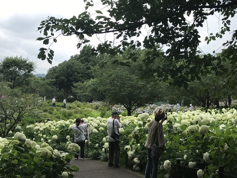 4537CA1A-D472-4F5F-BC1B-9AEBAF30C1DC