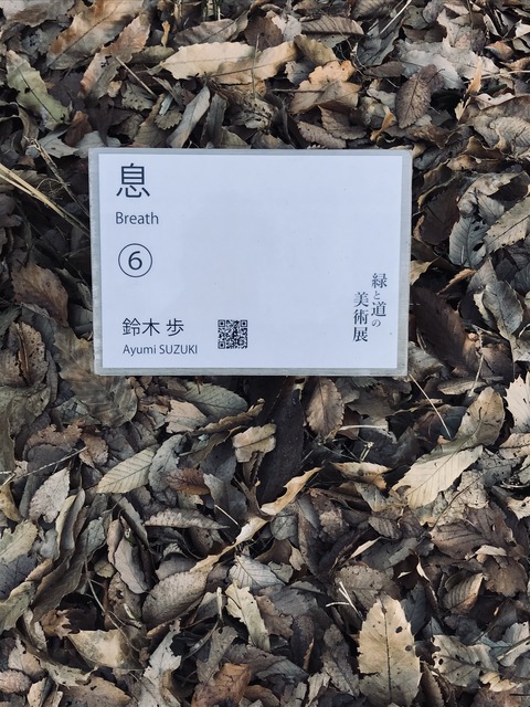 9CE37D49-7456-4F85-845D-71E87AEEA6AE