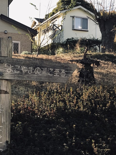 B80B7722-D83B-4BB9-A5DC-FBC7592A7F71