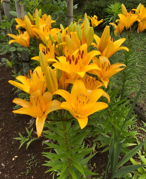 BEAB9C98-F36E-4D49-B501-06D56637435F