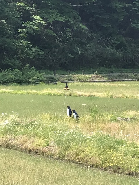 C8EFC330-CED3-4FF8-AE41-AD3DCE22E2D1