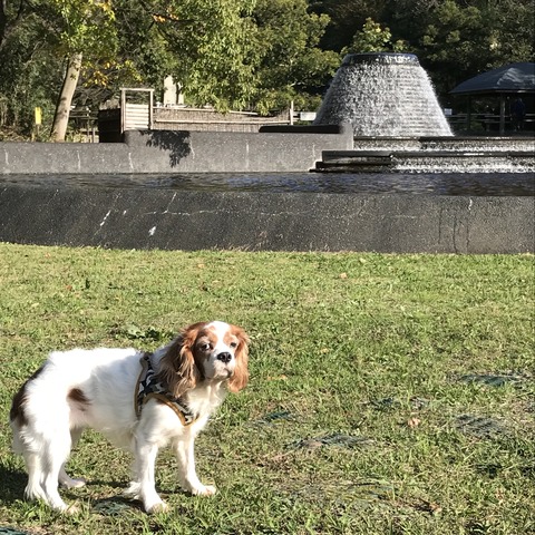 21446995-76D6-4241-A2A4-AADF3D8F0836