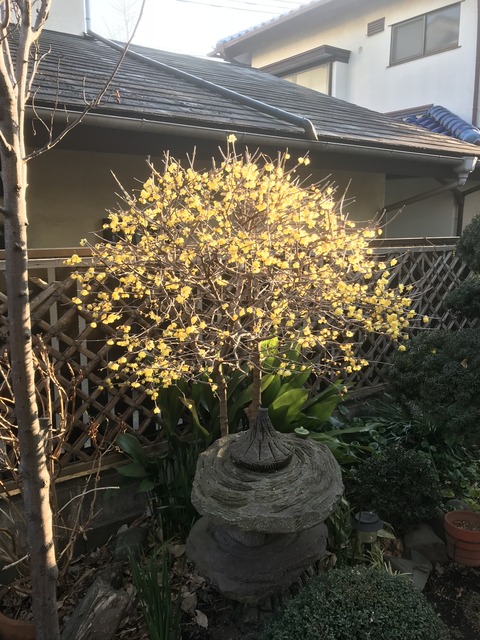 E3955A12-7EE7-49D8-ABEB-880FBF3B3A78