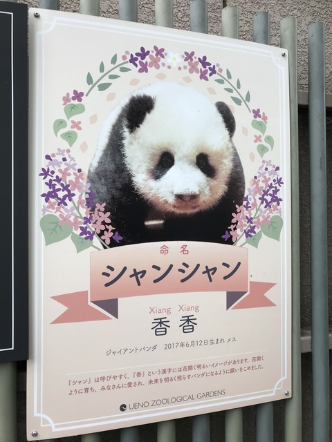 4927CD92-1F4D-43AE-ACB3-5D236970CD95