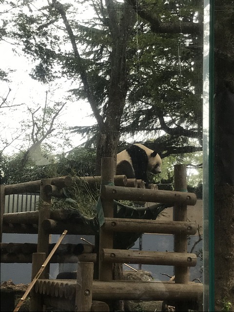 A5E52976-A14B-4E5A-8A88-4A63271B8240