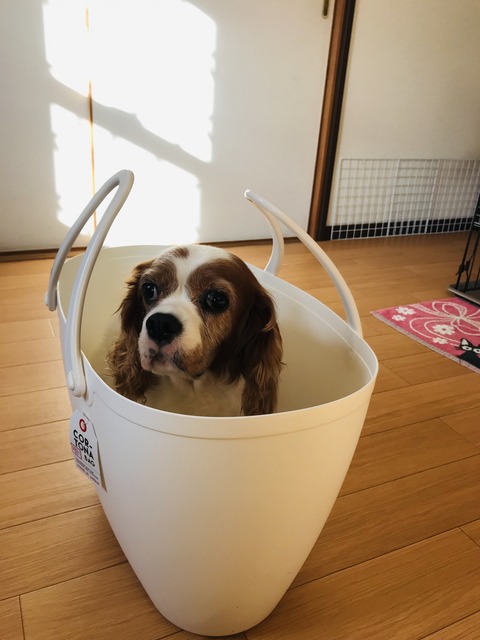 A13C91FA-24D5-45DD-A05B-4791E0BD6496