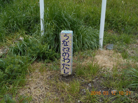 DSCN0837
