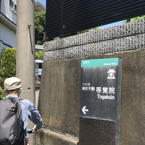 E0BC5542-1793-402A-8BFB-A46512182CEA