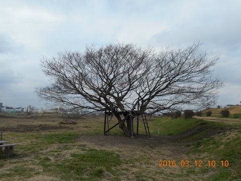 DSCN0833