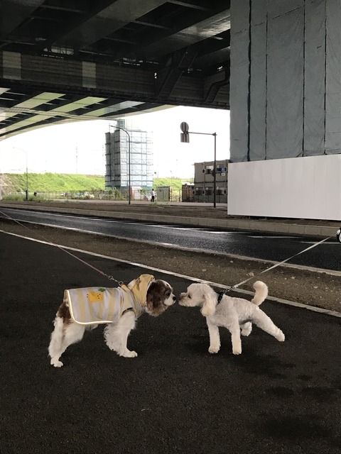 59F4F812-069B-492B-A8AE-5DC7BC274A32