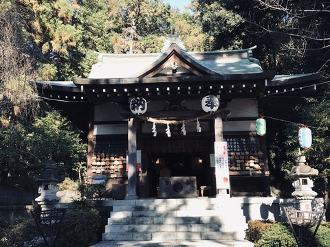 FEC96A49-D95A-422F-AD32-9FDE69363722