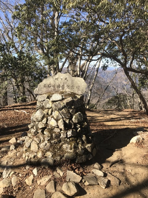 2F05C528-D497-43FF-84F3-8B312A61BD50