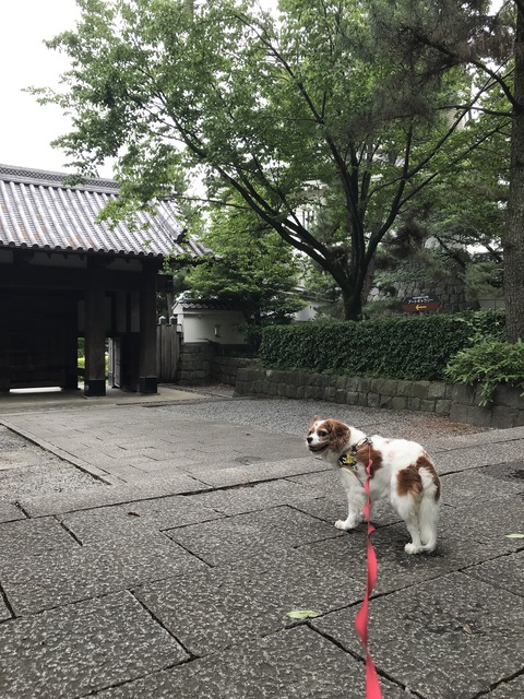 B6BAE189-B663-416E-ADC3-1CDAD8C9EFA0