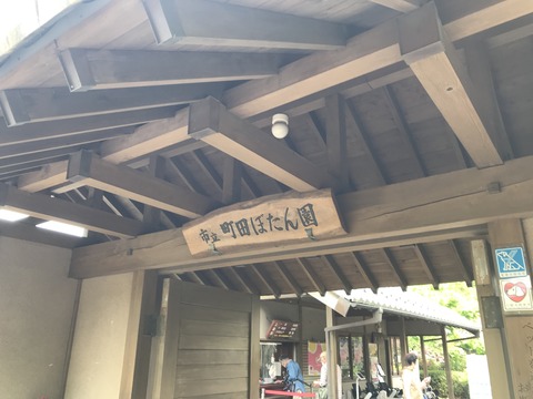 C202C1DD-31DB-4371-93EA-8395DBF1562B