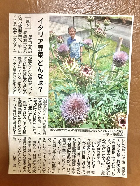 6E249ED5-05F1-479A-B7AC-9ACB4A93206F