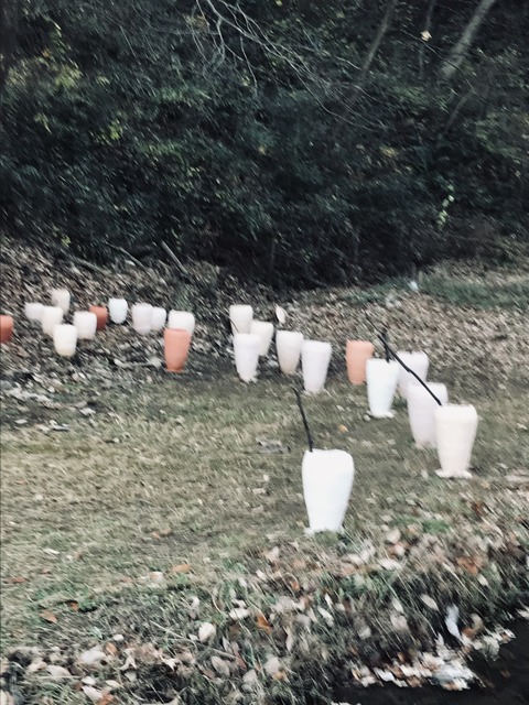 1B237B40-09B9-4F36-82BC-617D54E6F443