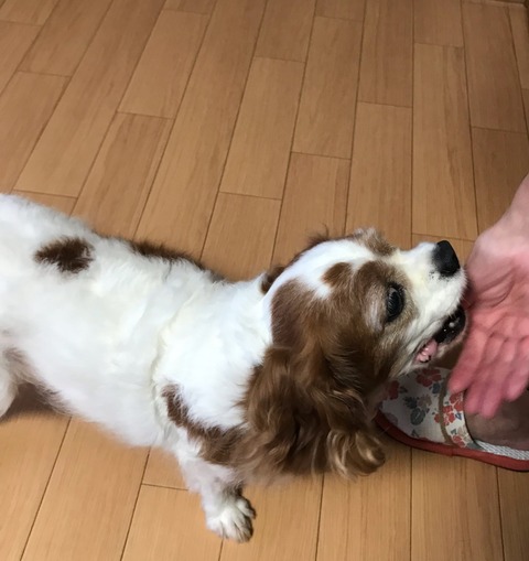 77BE7C7B-7967-46BD-A56E-3CFD16C2E496