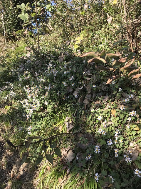 13B17BA6-79B6-4BE9-B55C-FA5E9FAEB757