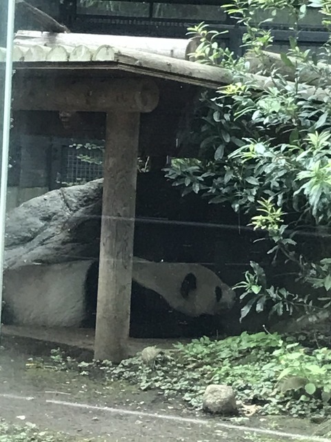 CC3B7339-C485-4B92-9771-1BE043B2AA67